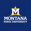 msu_logo